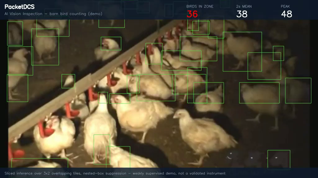 Barn bird counting demo